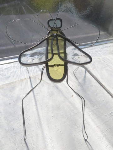 geel glas insect