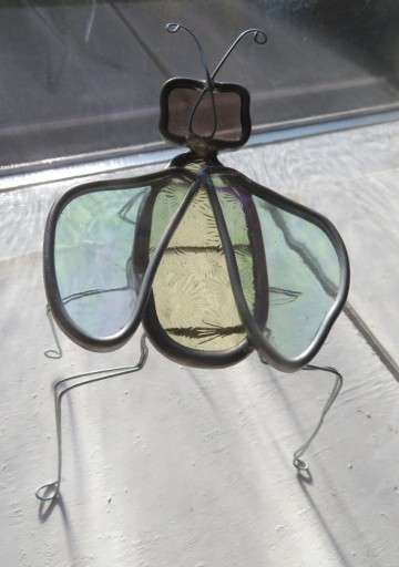 glas insect
