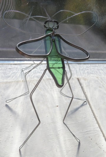 groen insect