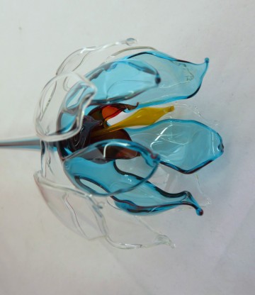 bloem glas blauw rood