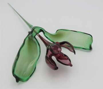 glasbloem groen blad