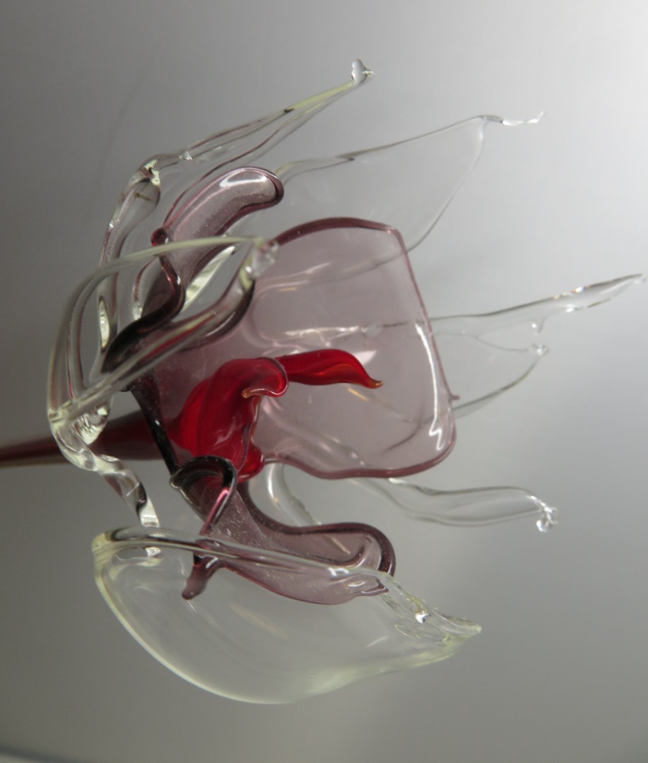 Minachting stijl Turbulentie Glas bloem paars - glas geblazen - G en G handgemaakt